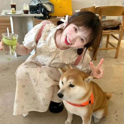 掌门低调点 动态漫第一季