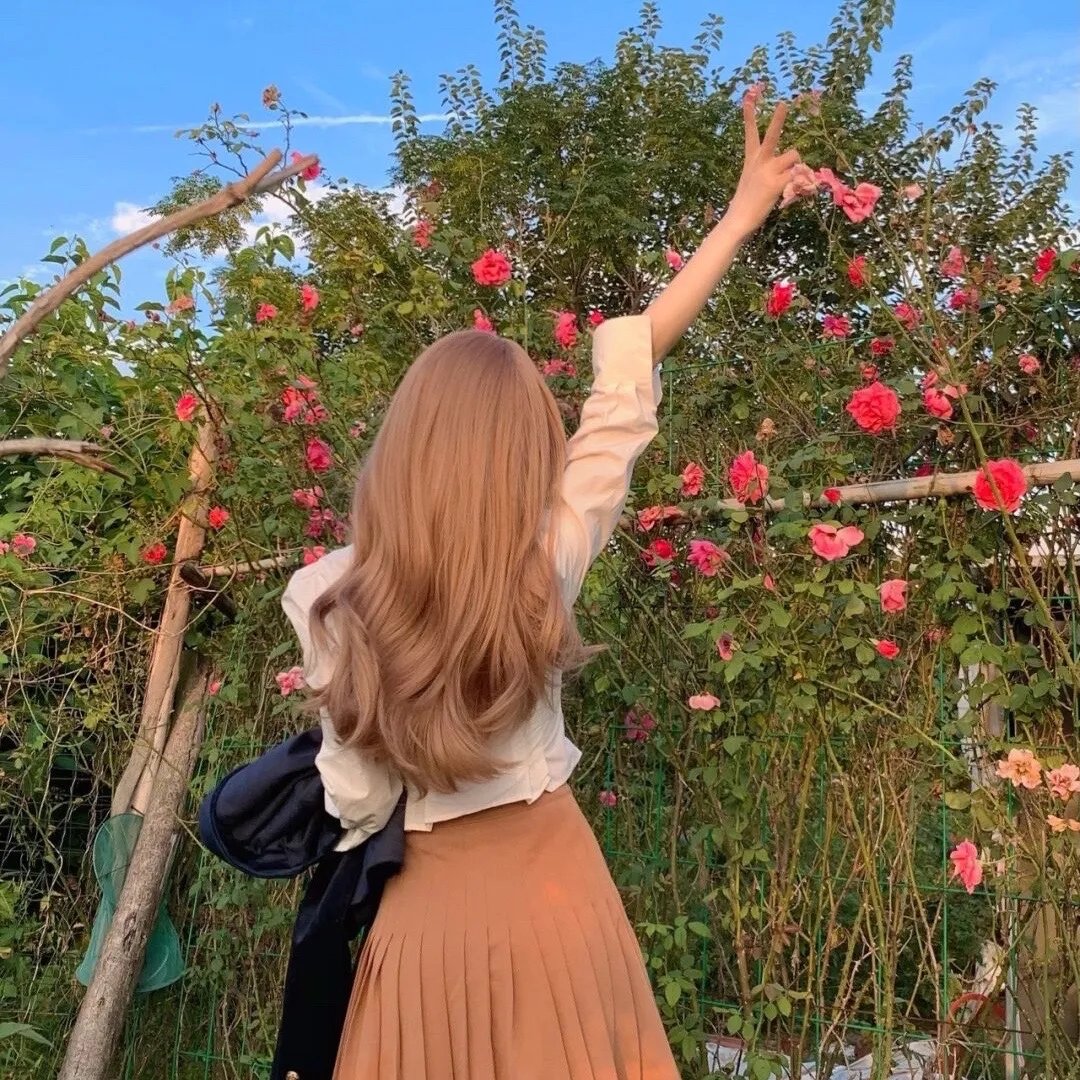 烟花女驼龙